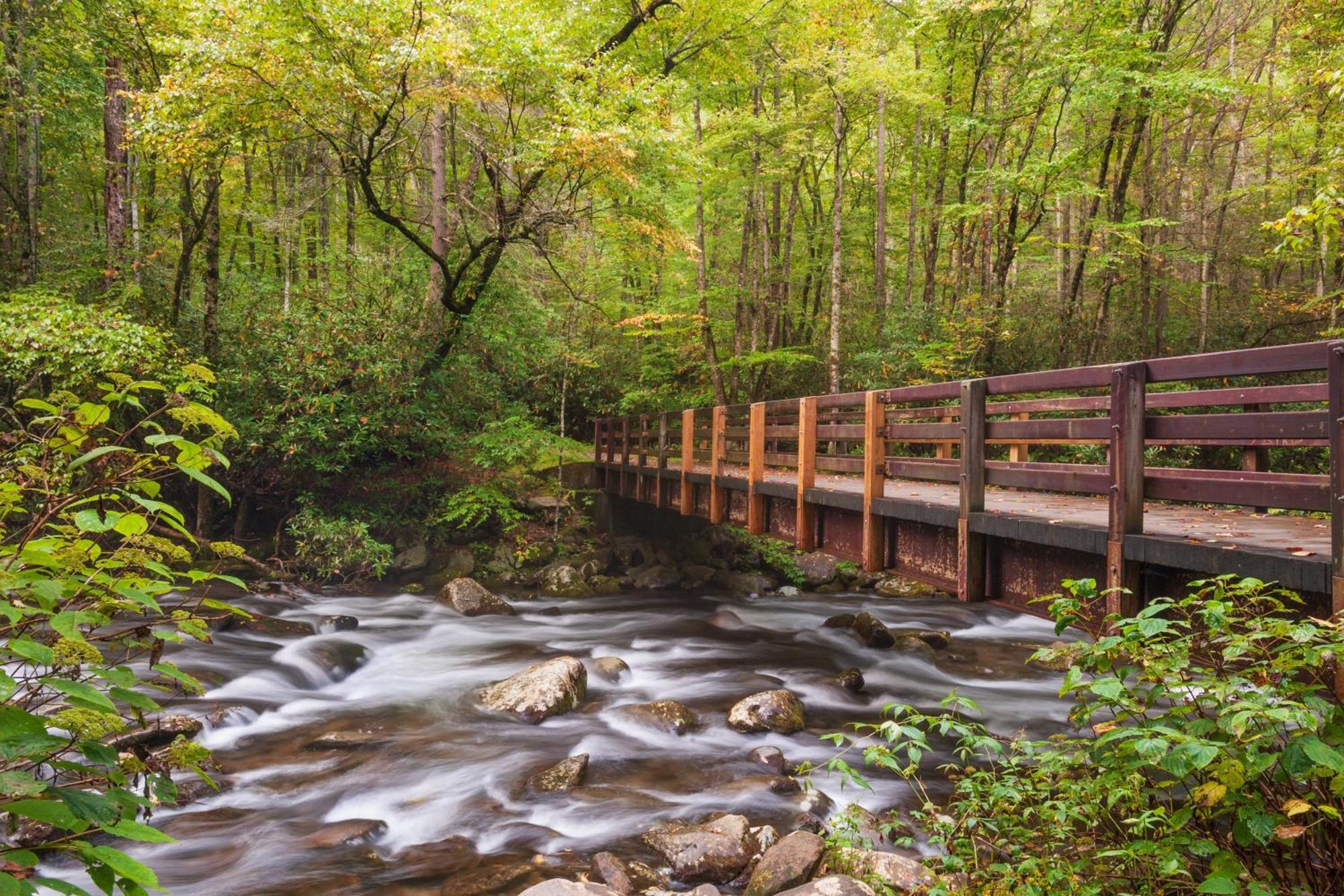Bridgewood Cabin, Hot Tub, 1089 Of Free Attraction Tickets For Each Paid Day, Dollywood And More! Pigeon Forge Zewnętrze zdjęcie