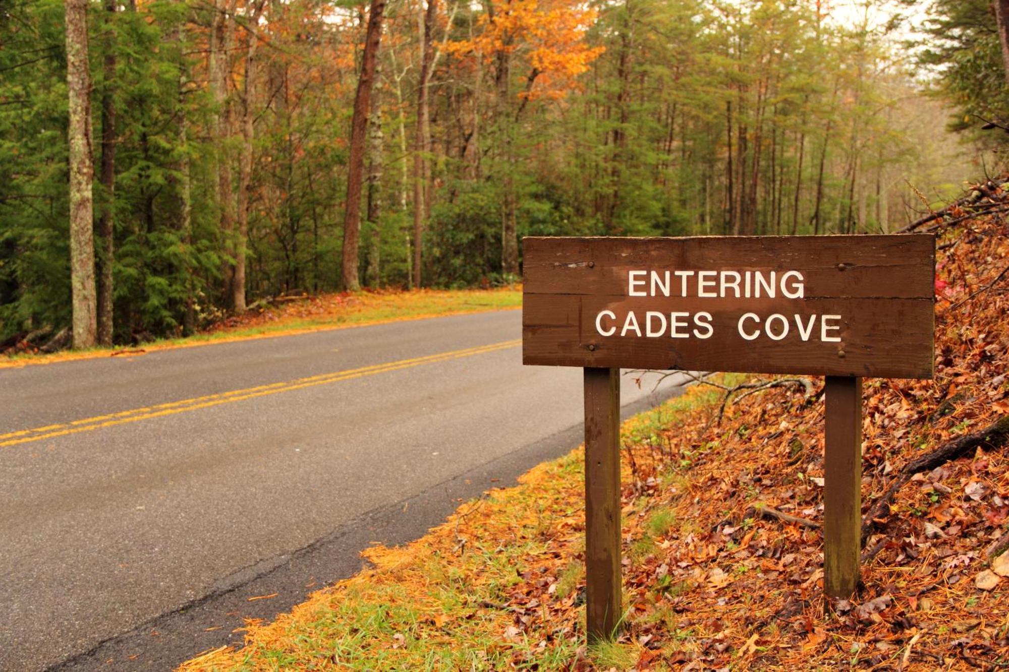 Bridgewood Cabin, Hot Tub, 1089 Of Free Attraction Tickets For Each Paid Day, Dollywood And More! Pigeon Forge Zewnętrze zdjęcie